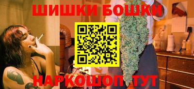гашик Боровичи