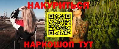 гашик Боровичи