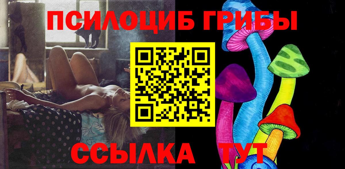 Псилоцибиновые грибы Psilocybine cubensis Ивантеевка