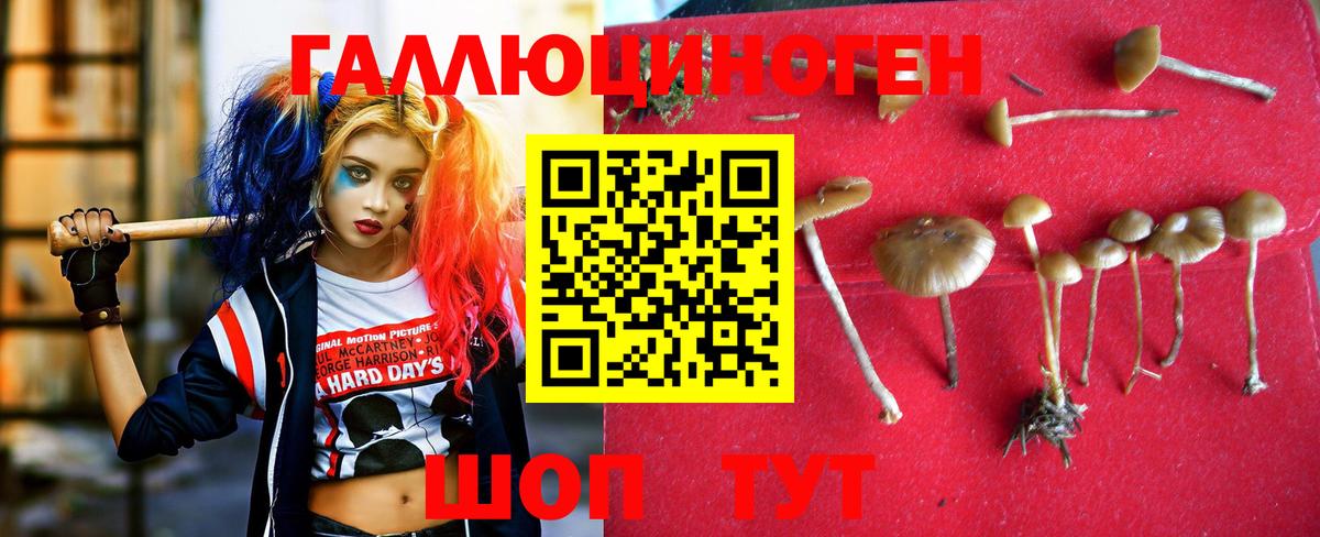 Галлюциногенные грибы GOLDEN TEACHER  Галлюциногенные грибы GOLDEN TEACHER  Вход с VPN  Ивантеевка 